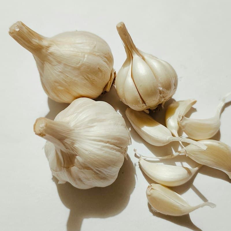 Garlic