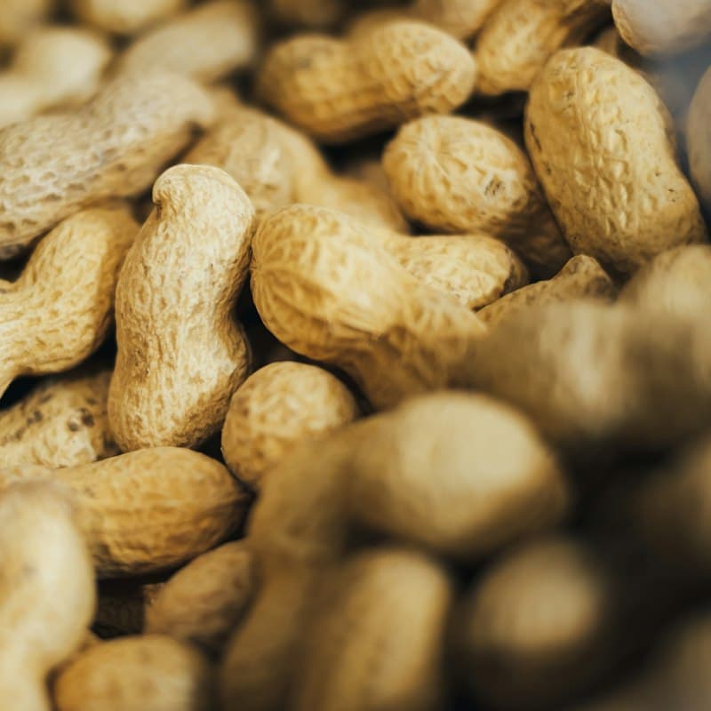 Groundnut Kernels
