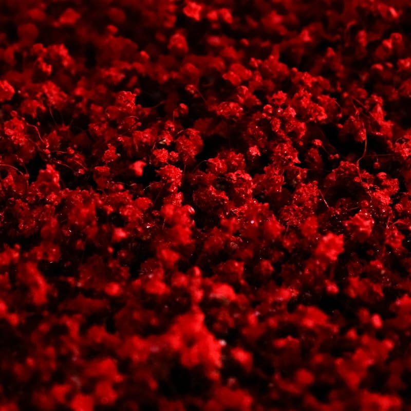 Muriate of Potash (MOP)